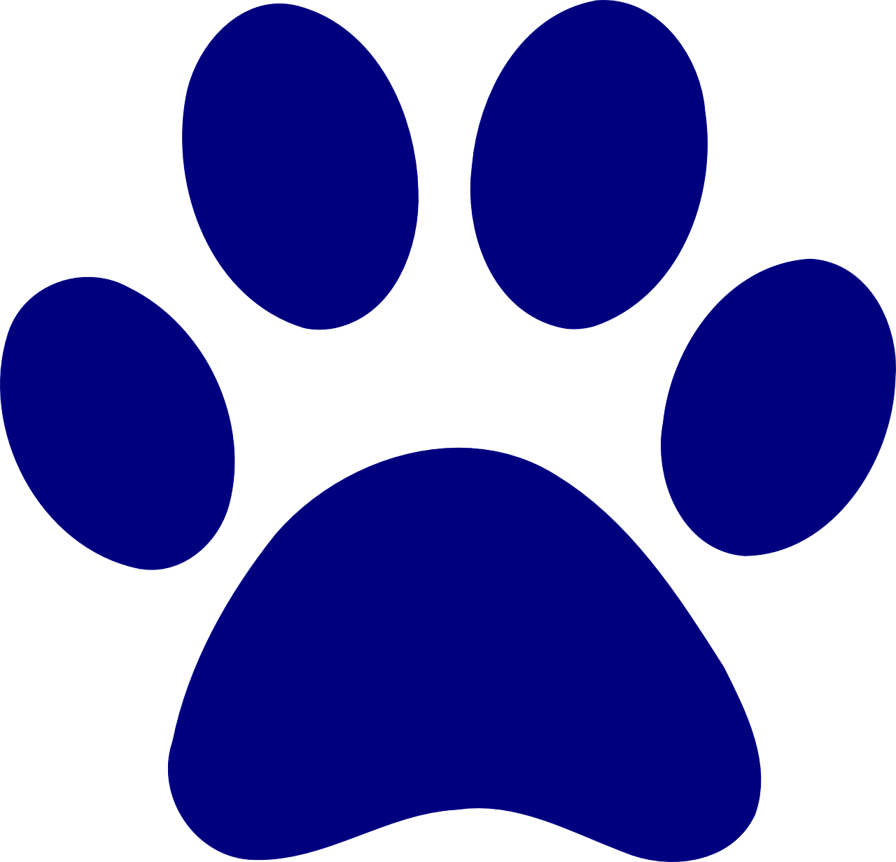 print, dog, bear-306214.jpg